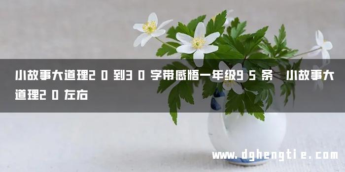 小故事大道理20到30字带感悟一年级95条 小故事大道理20左右